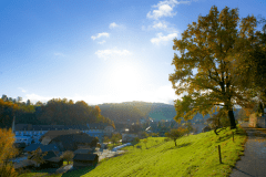 Herbst-4149