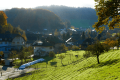 Herbst-4150