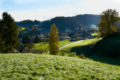 Herbst-4154