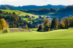 Herbst-4166