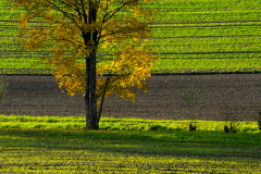 Herbst-8599