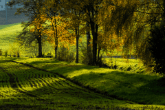 Herbst-8608