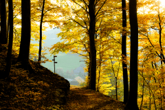 Herbst-8634
