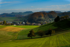 Herbst-8736