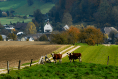 Herbst-8739