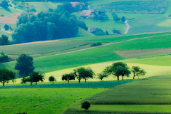 Sommer-6809