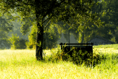 Sommer-7830