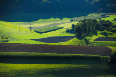 Sommer-8167