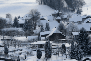 Winter