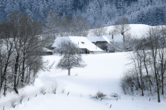 Winter-9364