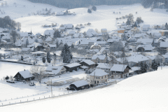Winter-9366