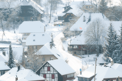 Winter-9393