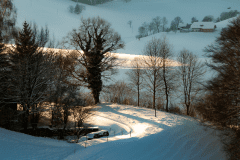 Winter-9436