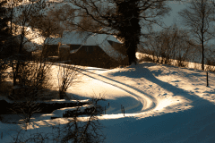 Winter-9442