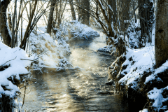 Winter-9652