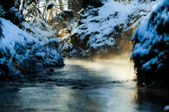Winter-9675
