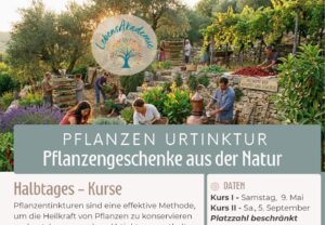 [Titel] Gemeinde Melchnau 51